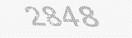 Visual security code — type the characters shown in the image