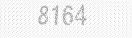 Visual security code — type the characters shown in the image